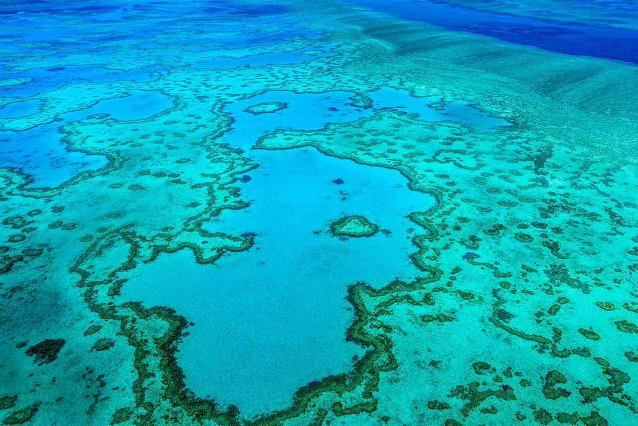 большой барьерный риф Австралия фото