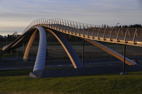 мост в норвегии по проекту да винчи