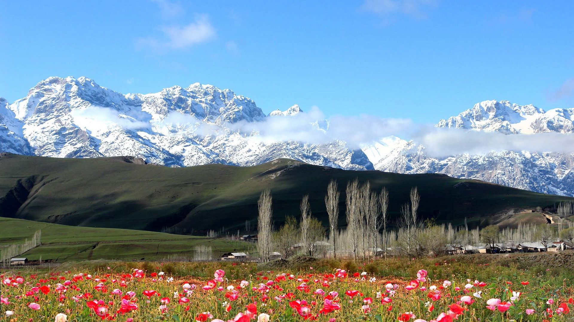 Киргизия. Киргизия горы Долина Арашан. Хайдаркан горы Киргизия. Киргизия Бишкек горы. Горы Луга Кыргызстана.