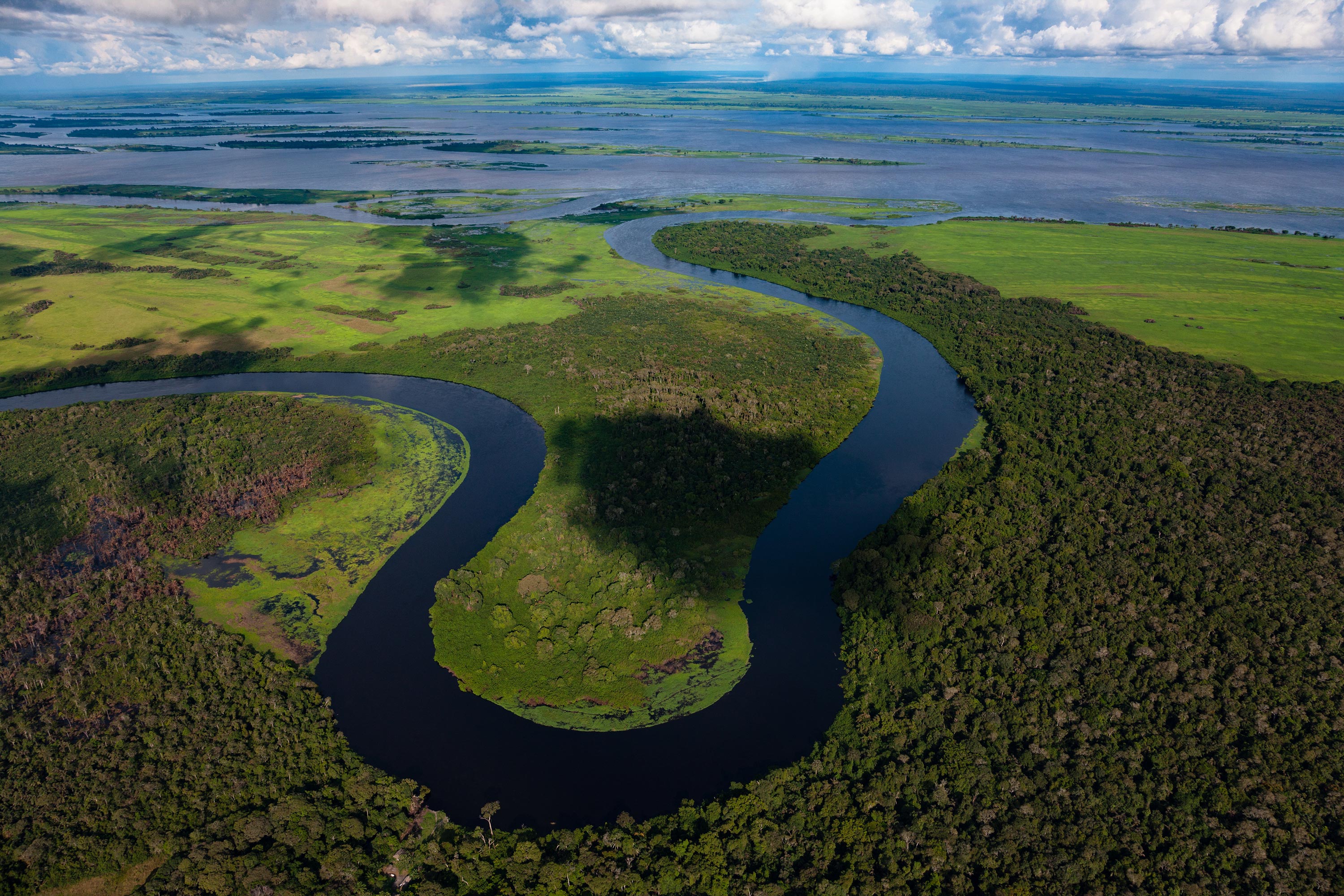 Самые большие реки на планете земля. Национальный парк Салонга. Национальный парк Салонга в Африке. Река Конго национальный парк Салонга. Река Луалаба.