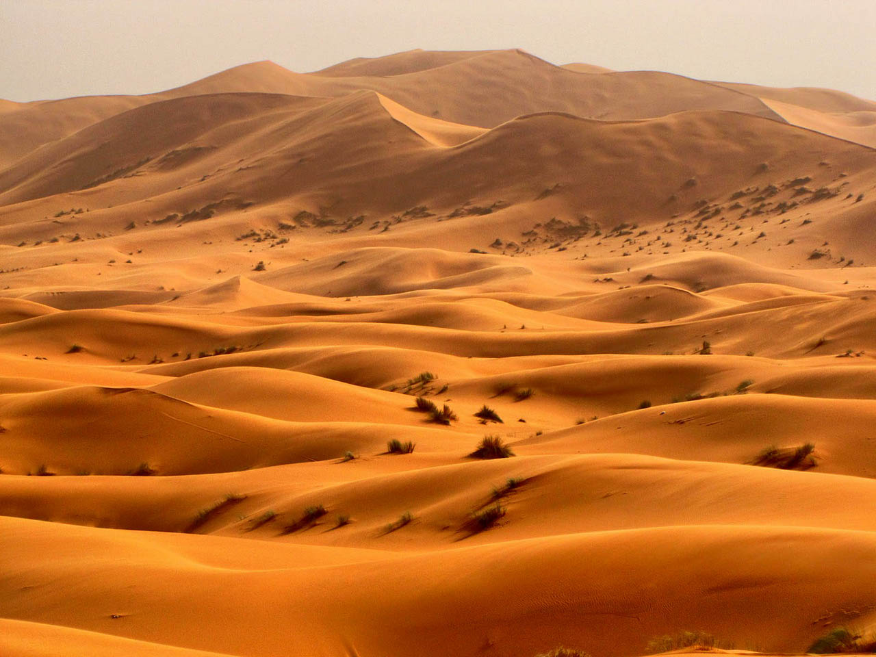аравийская пустыня